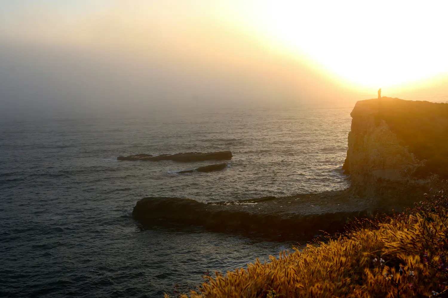 Field notes from the coast